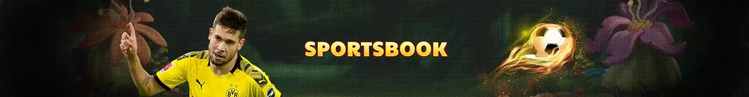 666Z sports betting interface showing live football match updates and odds